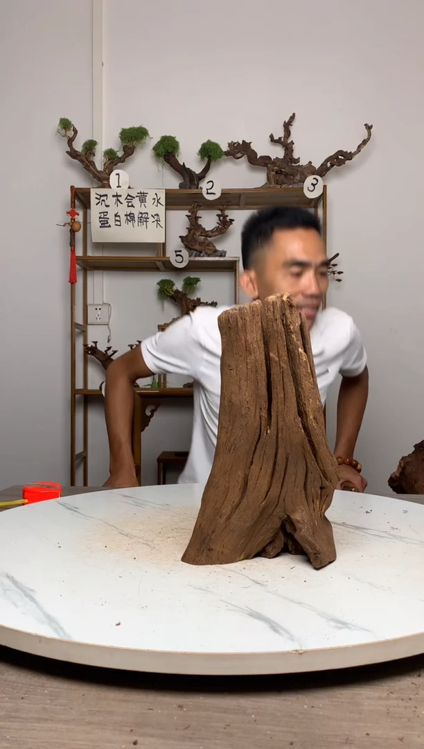 美****铺鱼缸造景沉木摆件
