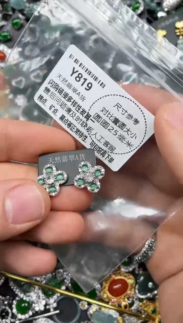 颈饰未镶嵌翡翠Y819耳钉