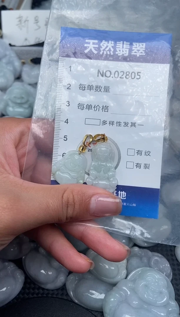 颈饰未镶嵌翡翠纯天然A货翡翠2805