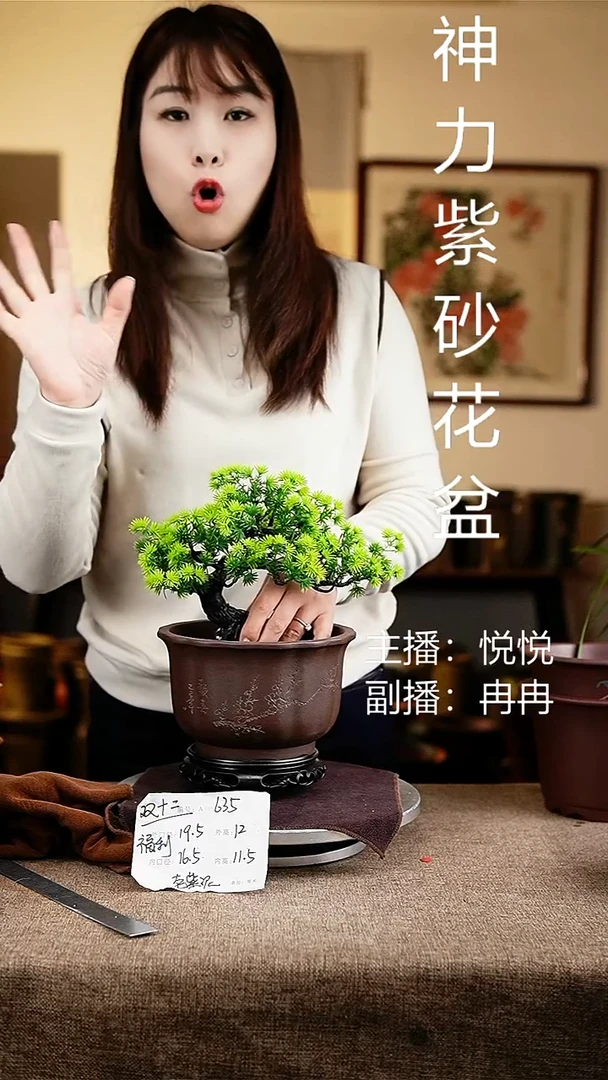 紫砂花盆花卉工艺635+s