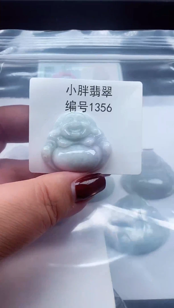 颈饰未镶嵌翡翠缅甸天然A货翡翠1356