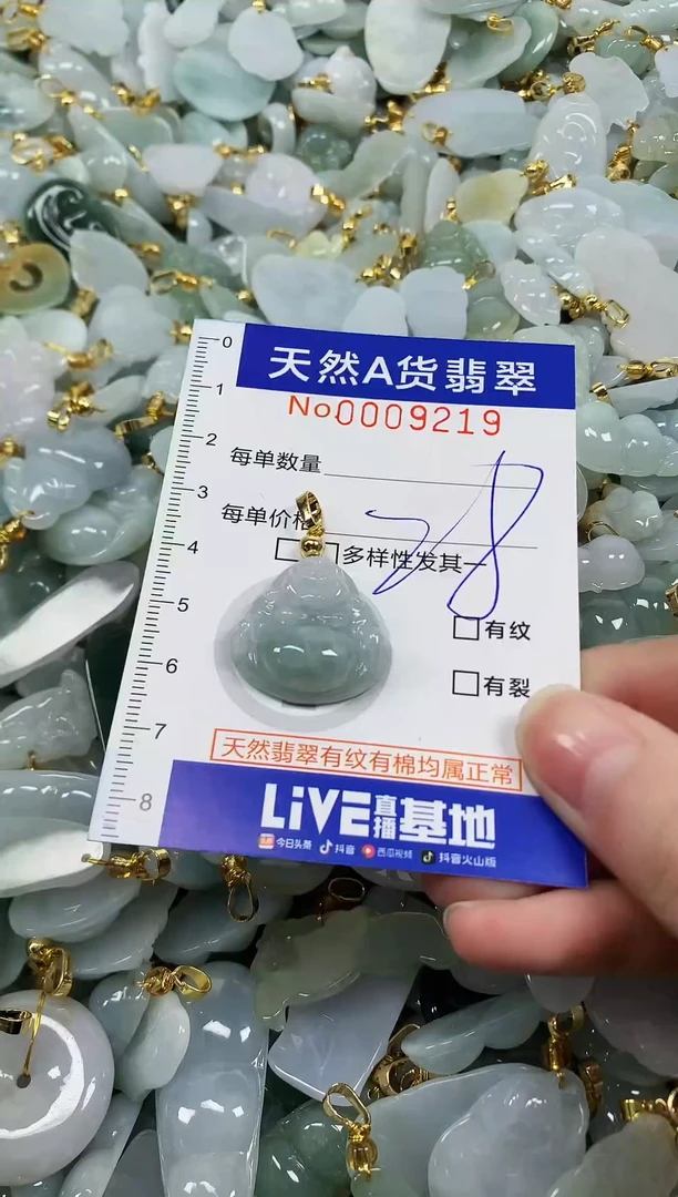 颈饰未镶嵌翡翠纯天然a货翡翠