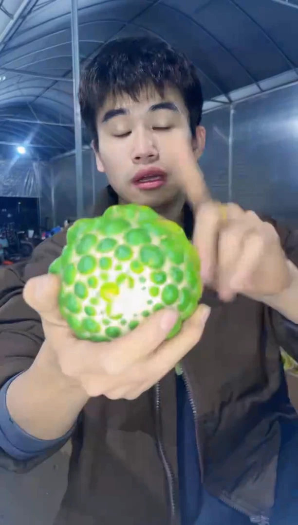 【闪购商品】蜘蛛眼 无刺象牙【无根】7-10cm