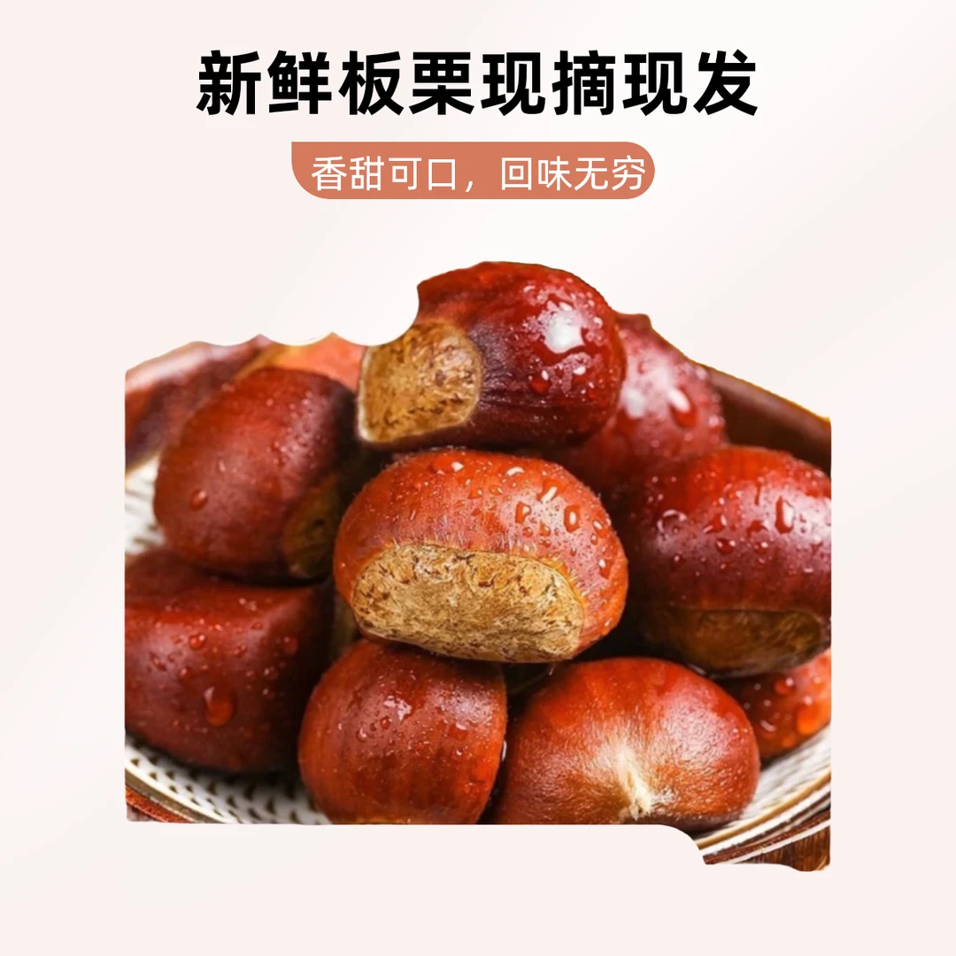 沂蒙山新鲜正宗板栗手工挑选成熟香甜皮薄优质山地采摘顺丰包邮板栗