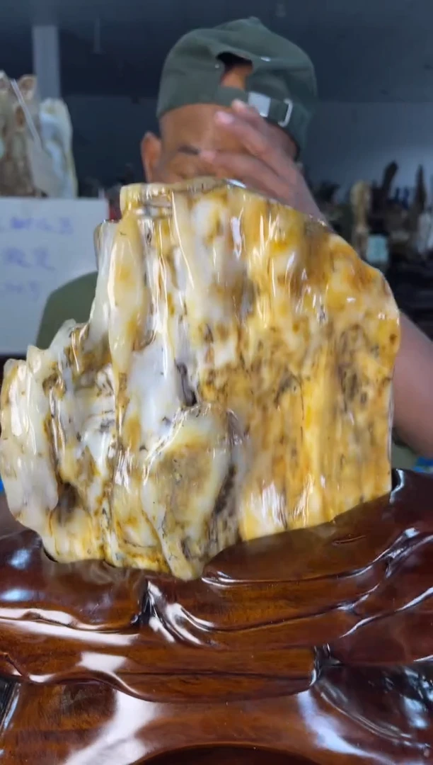 未镶嵌摆件硅化玉11