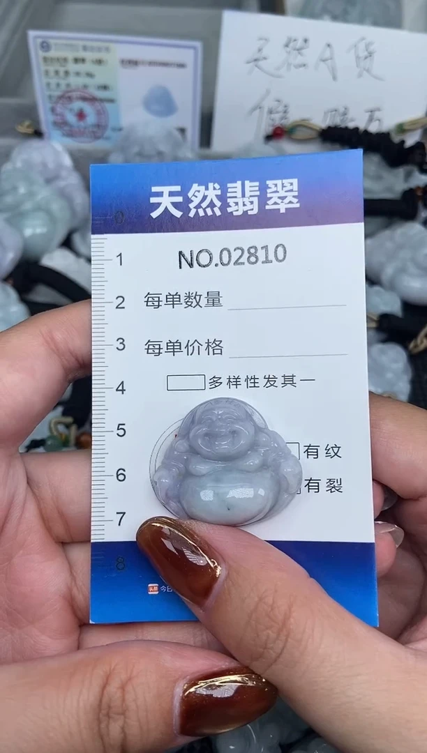 颈饰未镶嵌翡翠天然A货翡翠纯2810
