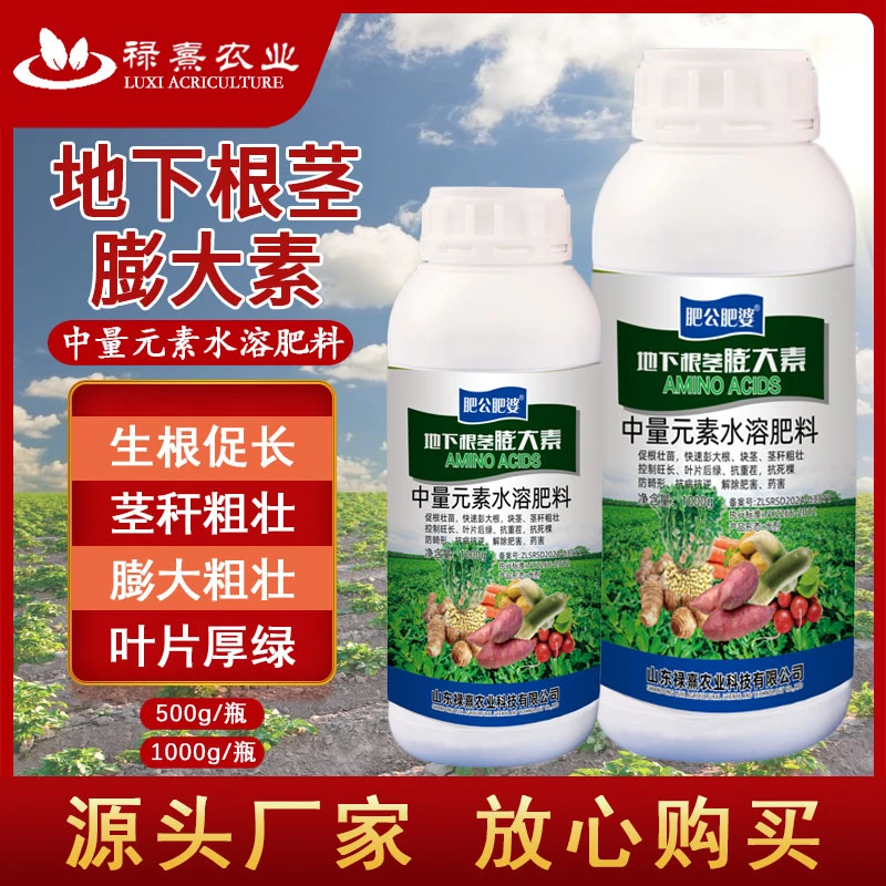 肥公肥婆地下根茎块茎膨大剂土豆红薯马铃薯大蒜大姜药作物通用