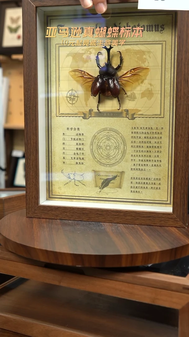 独角仙复古版A4复古框