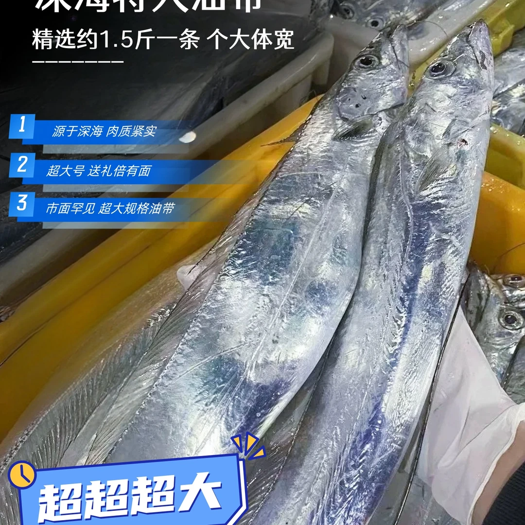 深海捕捞超大油带 单条1.5斤到手四条 约6—6.5斤13fmj