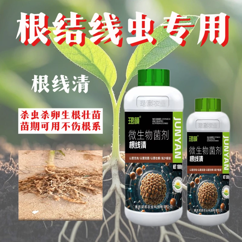 根线清根结线虫专用虫卵双杀微生物菌剂防根病害根腐根瘤不伤根系