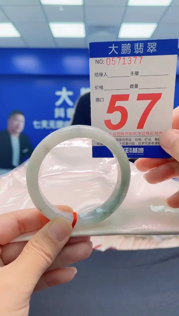 未镶嵌手镯翡翠AAAAAAAAA