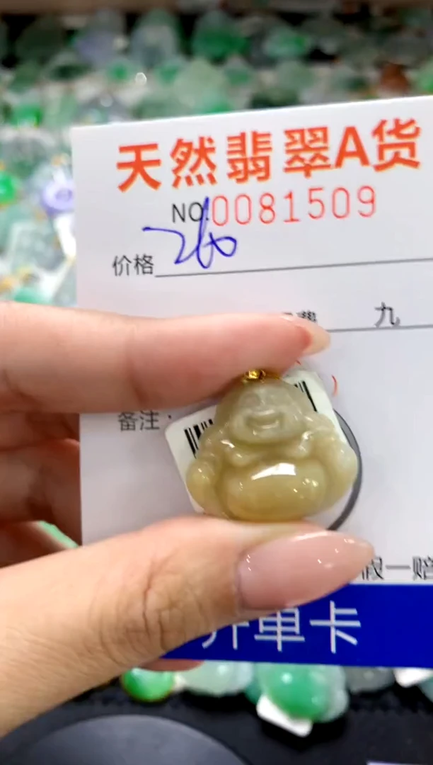 翡翠18K金镶嵌颈饰1111111111111111