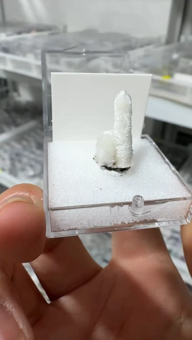月下珠宝严选矿物