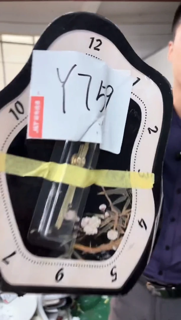 圆形孤品微瑕小河果果闪购Y759