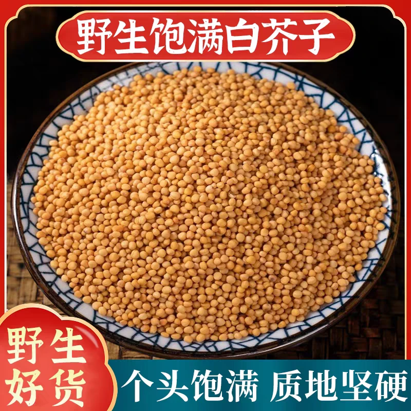 白芥子精选道地野生无硫白芥子高品质滋补养生搭配枸杞泡水泡茶喝