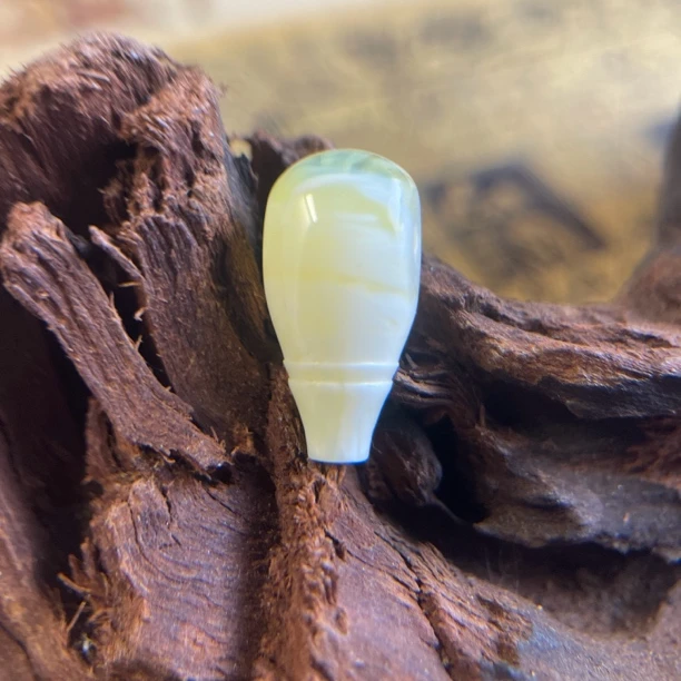 荧光拉丝琥珀蜜蜡三通蜜蜡三通对孔11mm三通妖孽拉丝荧光三通