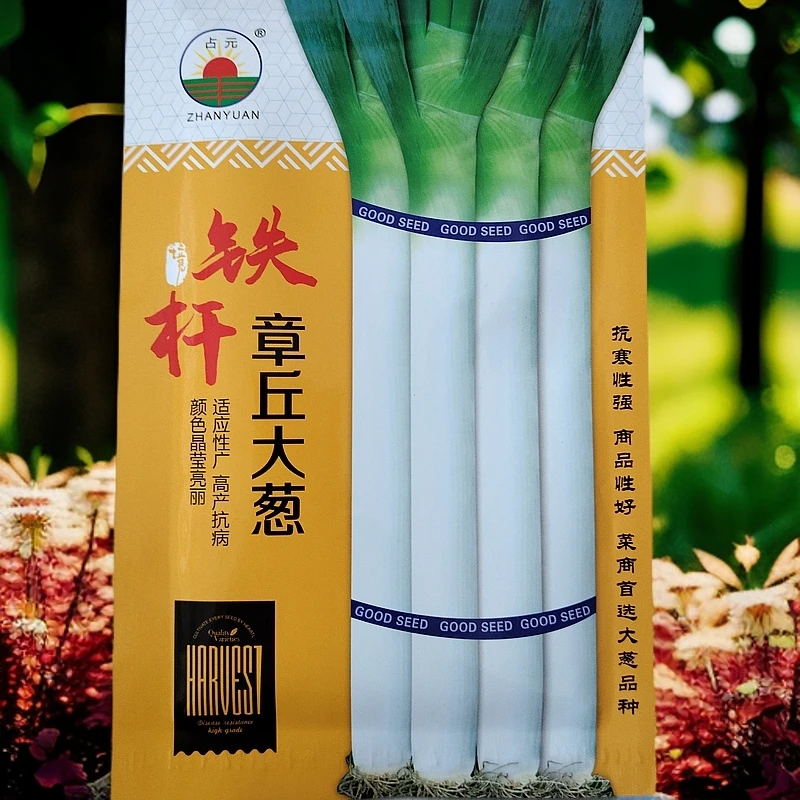 铁杆章丘大葱籽（10克）