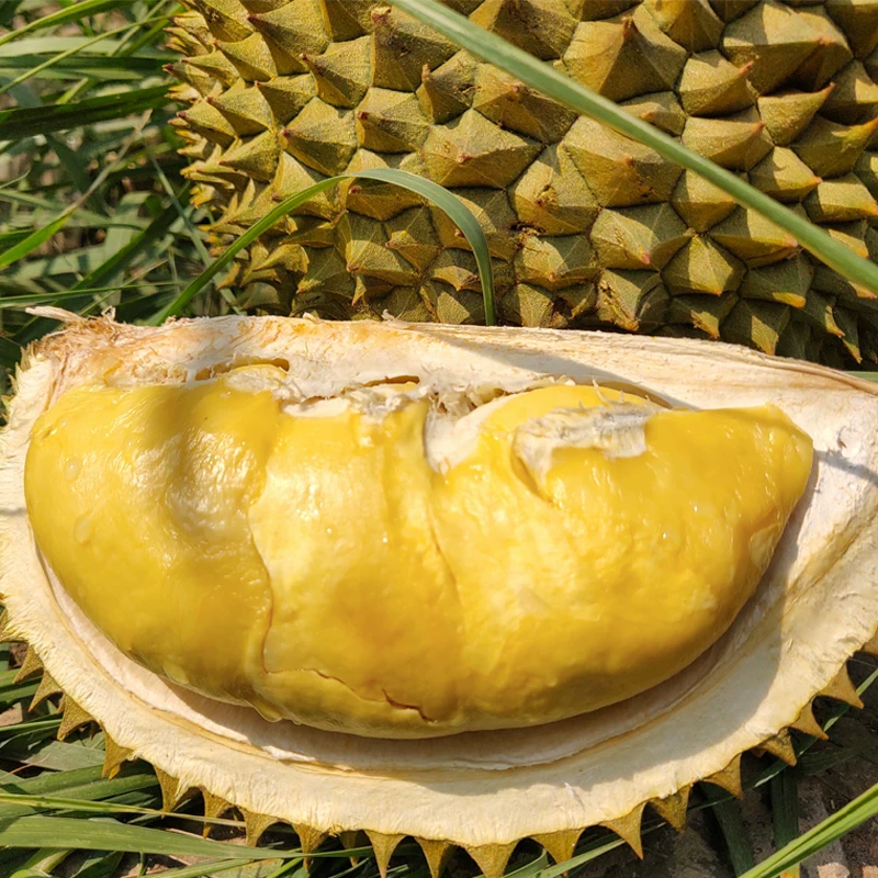 新鲜泰国金枕榴莲果肉软糯香甜金枕头2~5kg核小金枕泰国