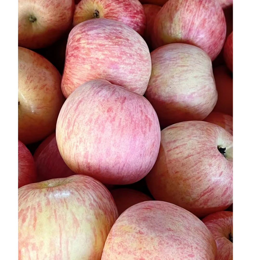 山东红富士苹果4斤/份