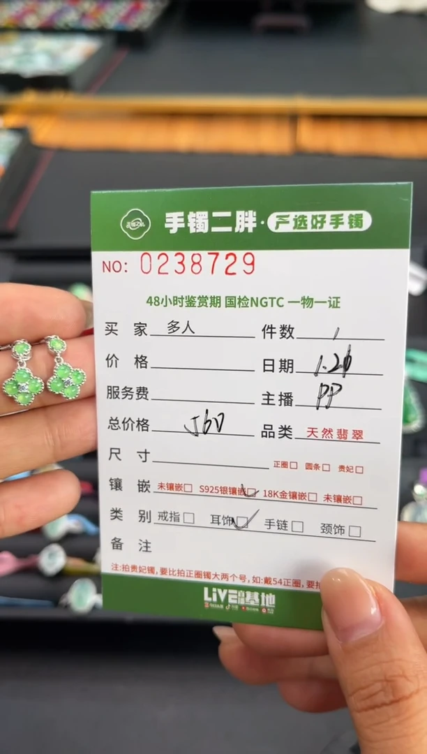 【闪购商品】翡翠耳饰银S925镶嵌多人