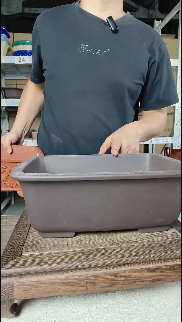 v出突然v补补有反应