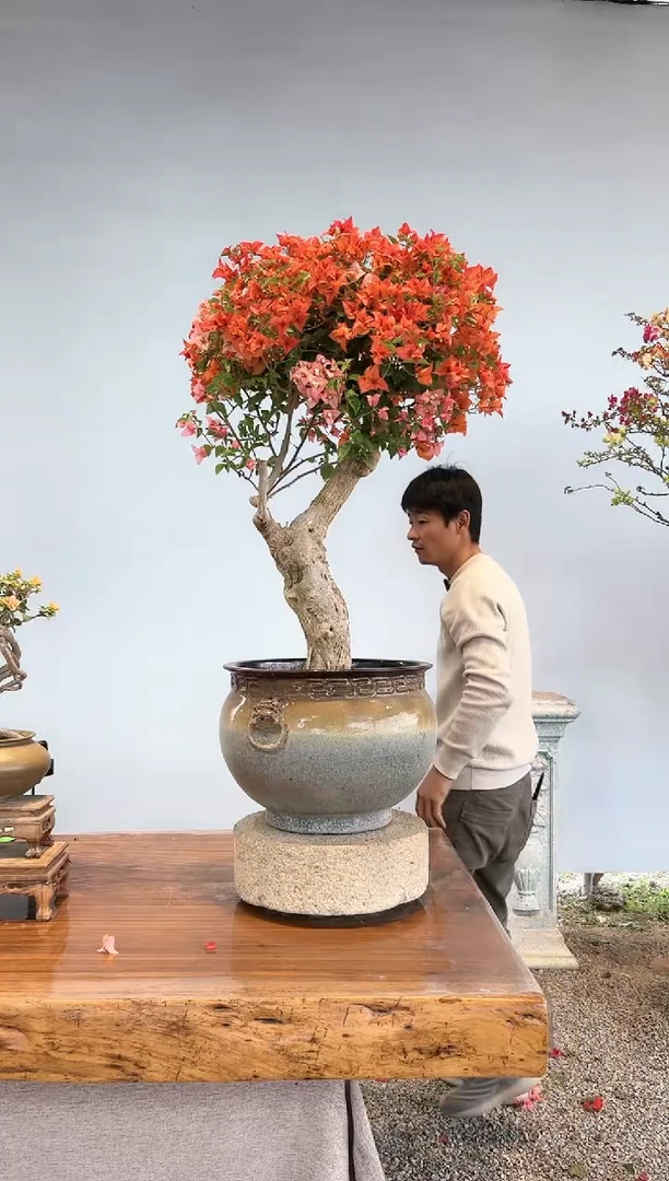 【闪购商品】AA917