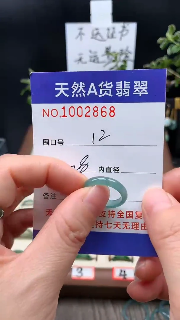 未镶嵌戒指翡翠12#