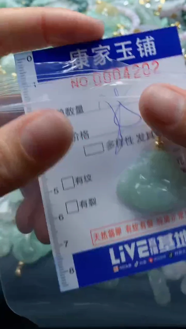颈饰未镶嵌翡翠4202