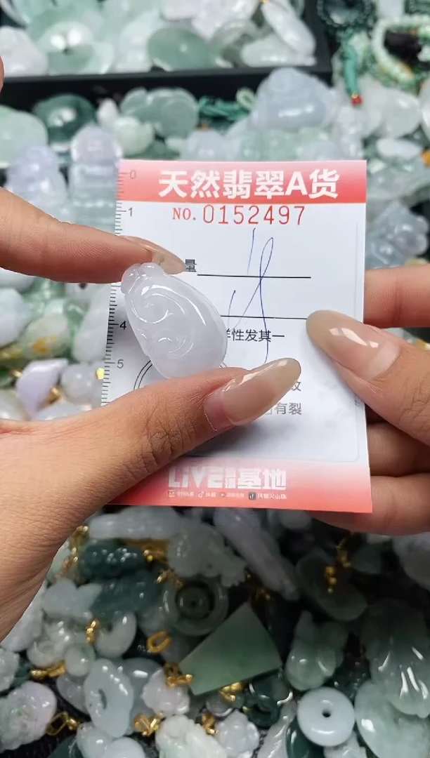 翡翠未镶嵌颈饰闪购0152497