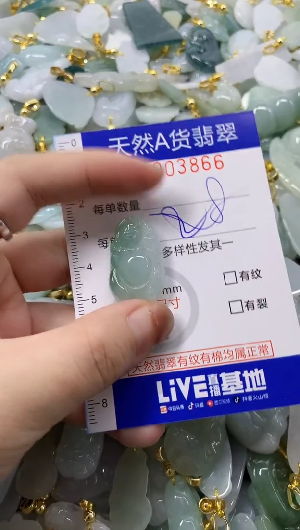 颈饰未镶嵌翡翠天然A货翡翠