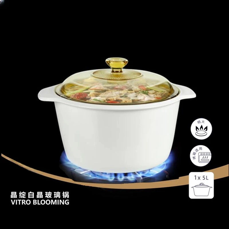 法国玻璃锅进口白底汤锅炖锅煲汤家用耐高温明火直烧5L双耳