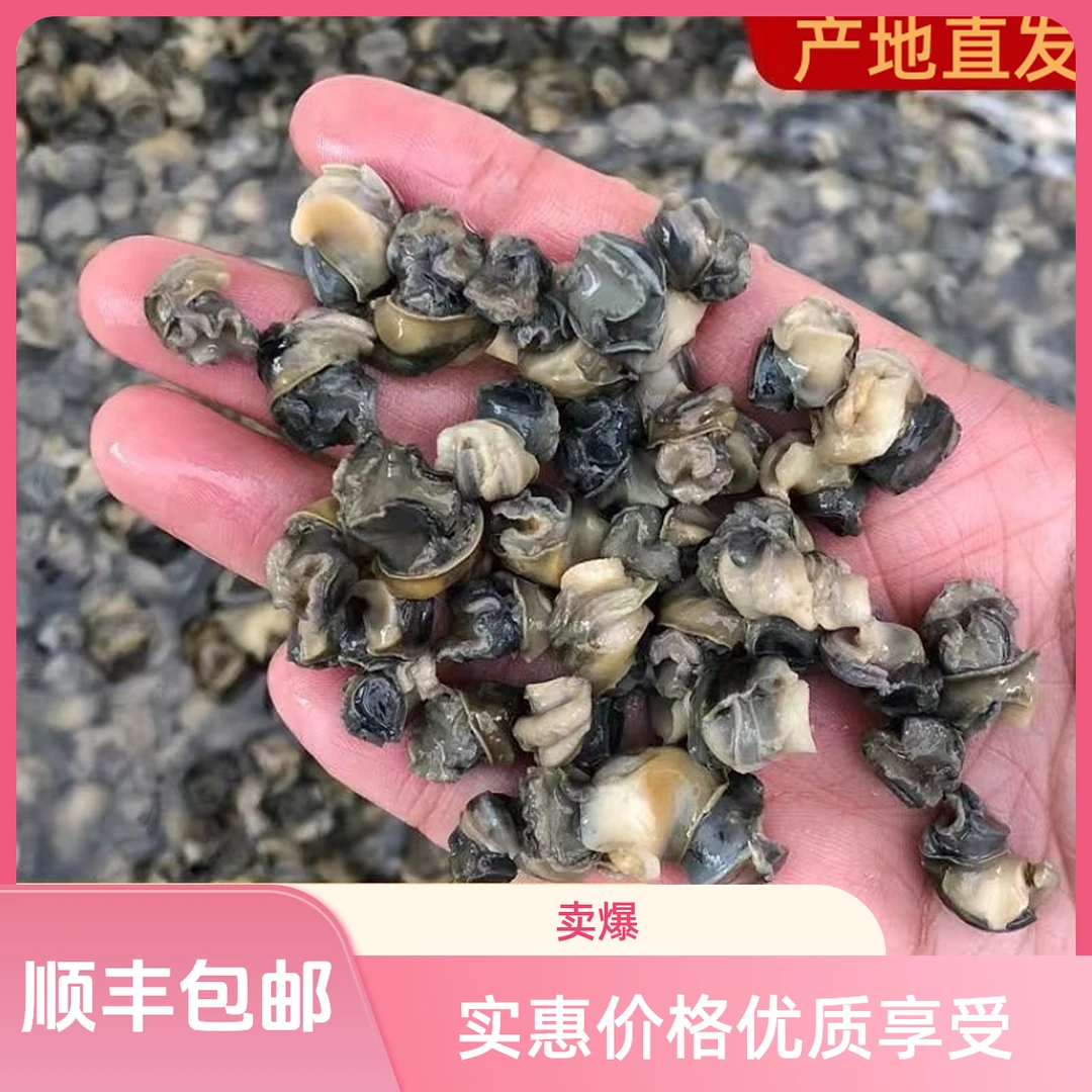 【中秋特惠】骆马湖新鲜螺丝肉新鲜螺蛳肉石螺肉农家现挑真空包装