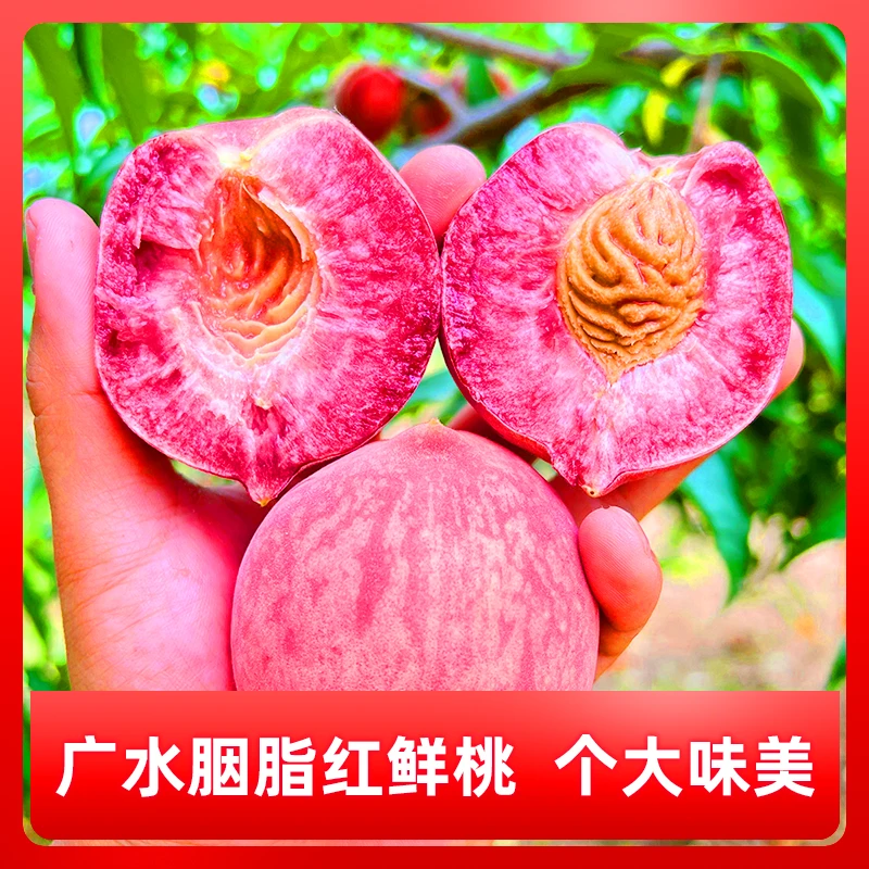 正宗广水胭脂红鲜桃 5斤装 果园现摘顺丰直发 国家地理标志农产品