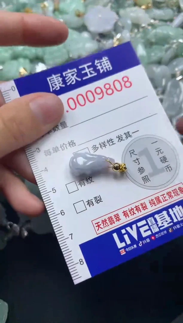 颈饰未镶嵌翡翠9808