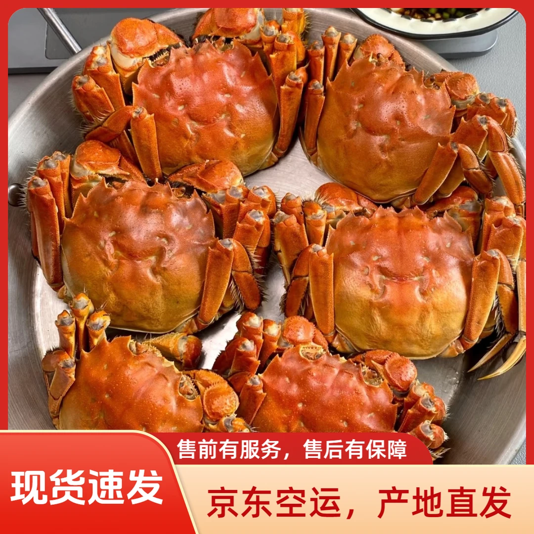 【活蟹】盘锦河蟹，全公蟹9-11只装，每只1.7-2两，只只足两，件件足斤!