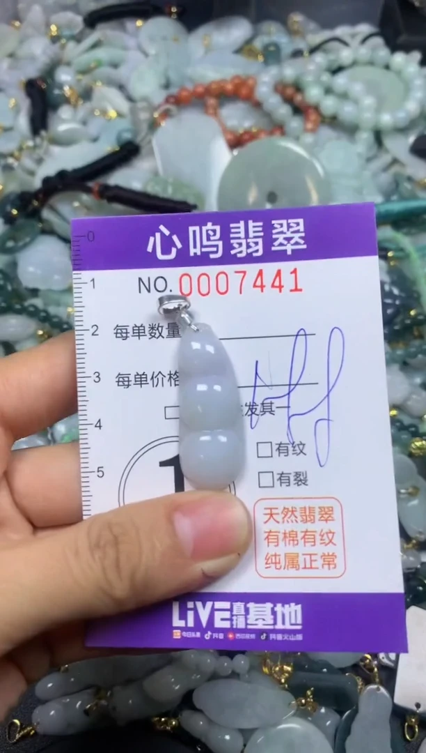 【闪购商品】翡翠颈饰未镶嵌闪购007441