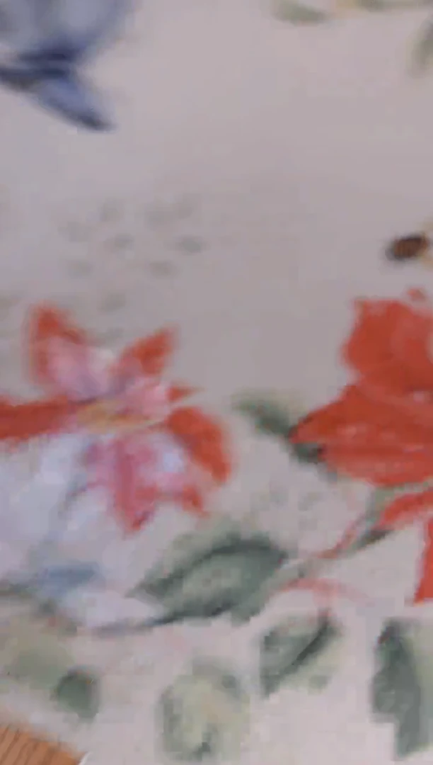 【闪购商品】盘子瓷**************