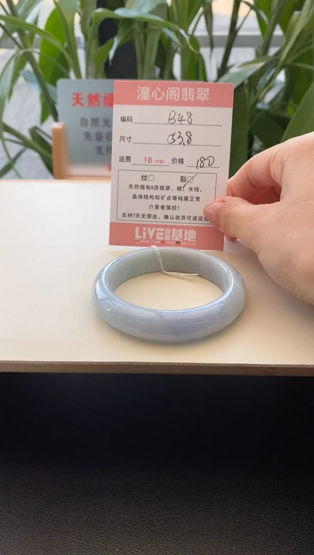 未镶嵌手镯翡翠圈口53.8编码b48