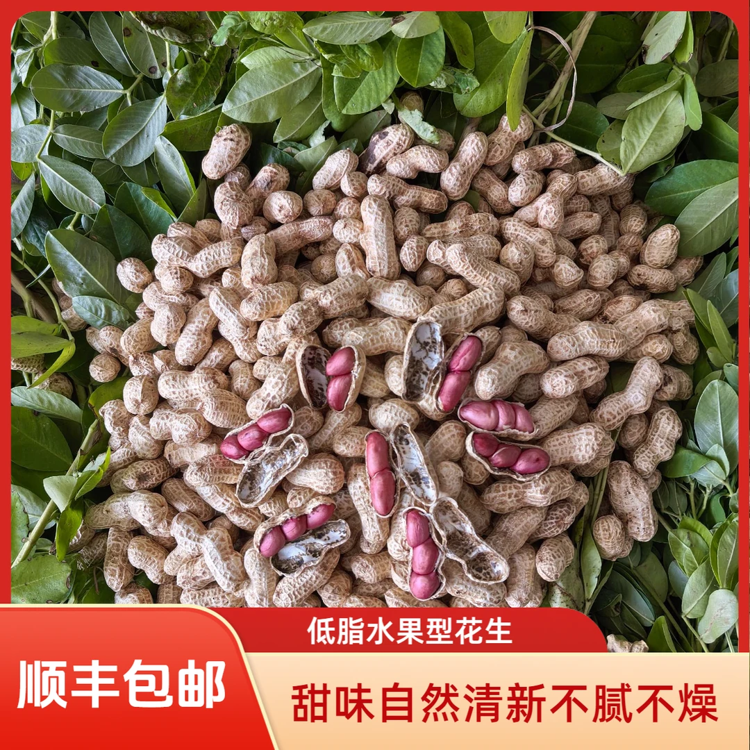 【顺丰包邮】2025年四川西平镇水果花生不带泥(精选礼品装)