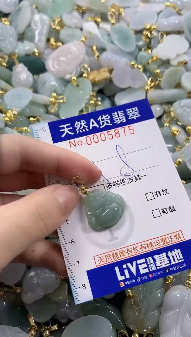 颈饰未镶嵌翡翠天然A货翡翠