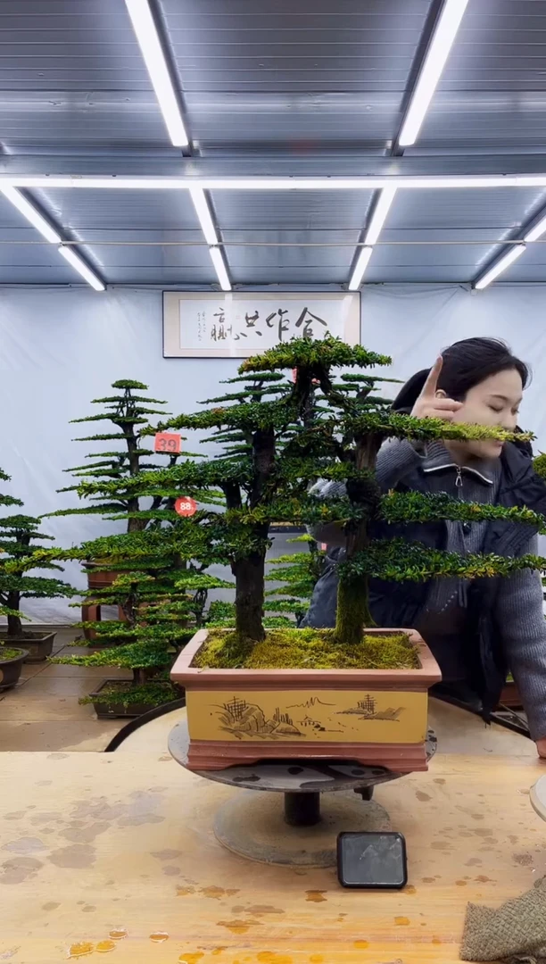 完全开放一物一拍，所见即所得