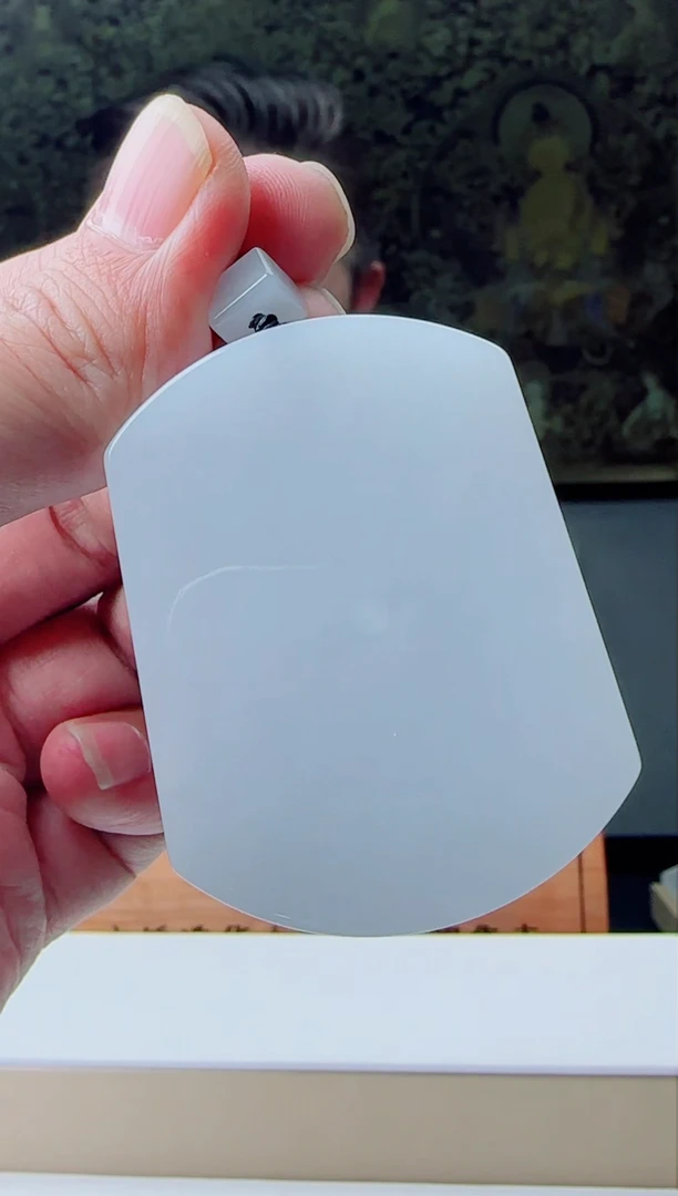 【闪购商品】翡翠颈饰未镶嵌11111111