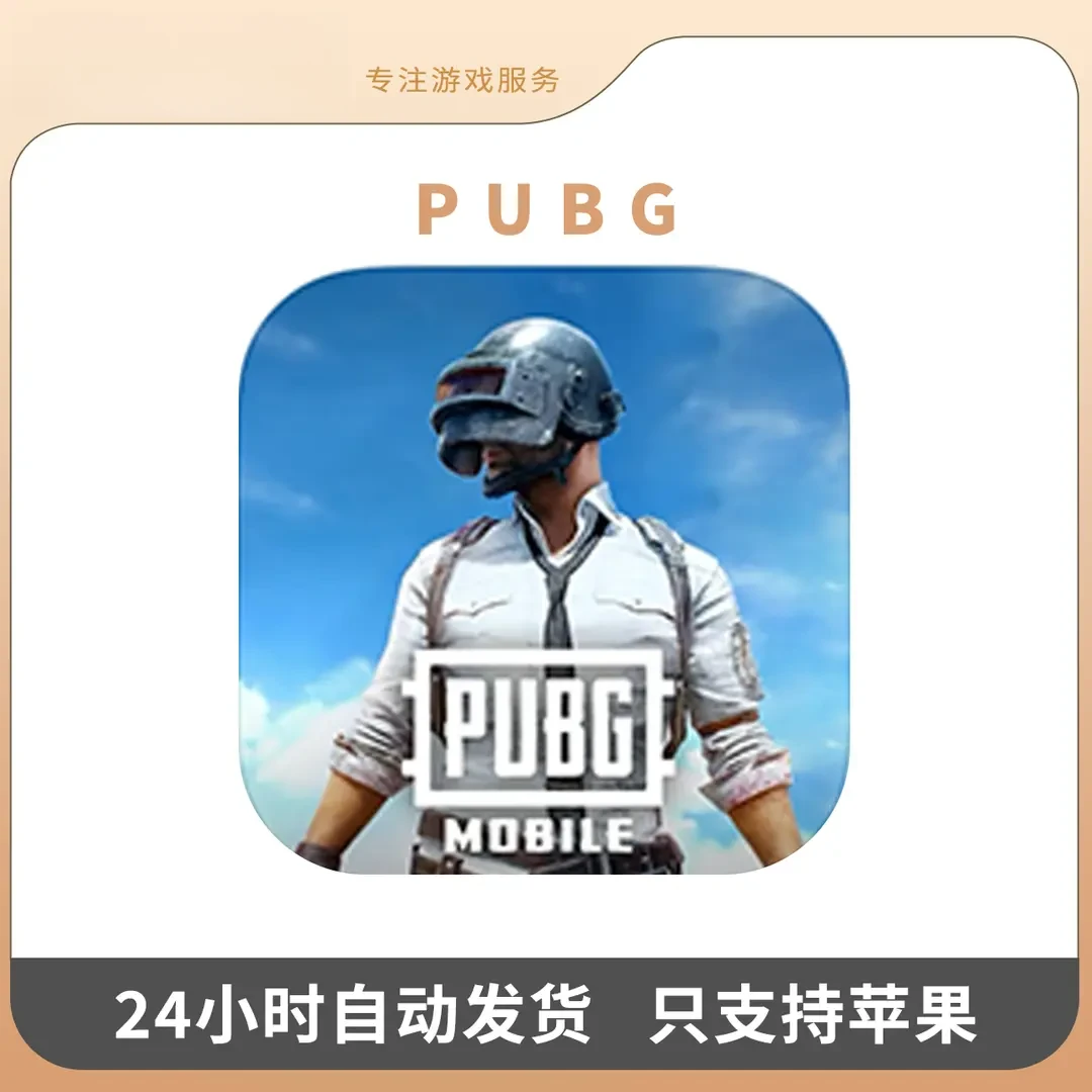 pubg 国际服 刺激战场 手机/ 游戏安装服务