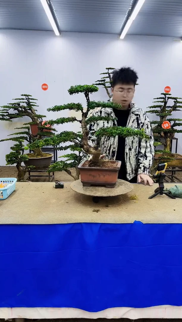 完全开放一物一拍，所见即所得