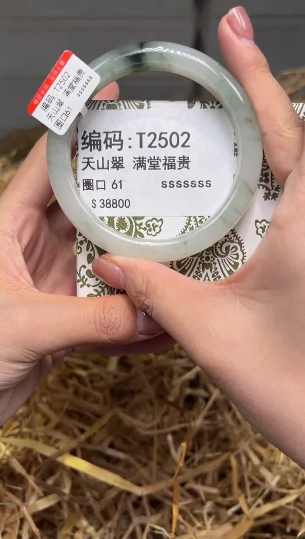 未镶嵌手镯石英质玉T2502