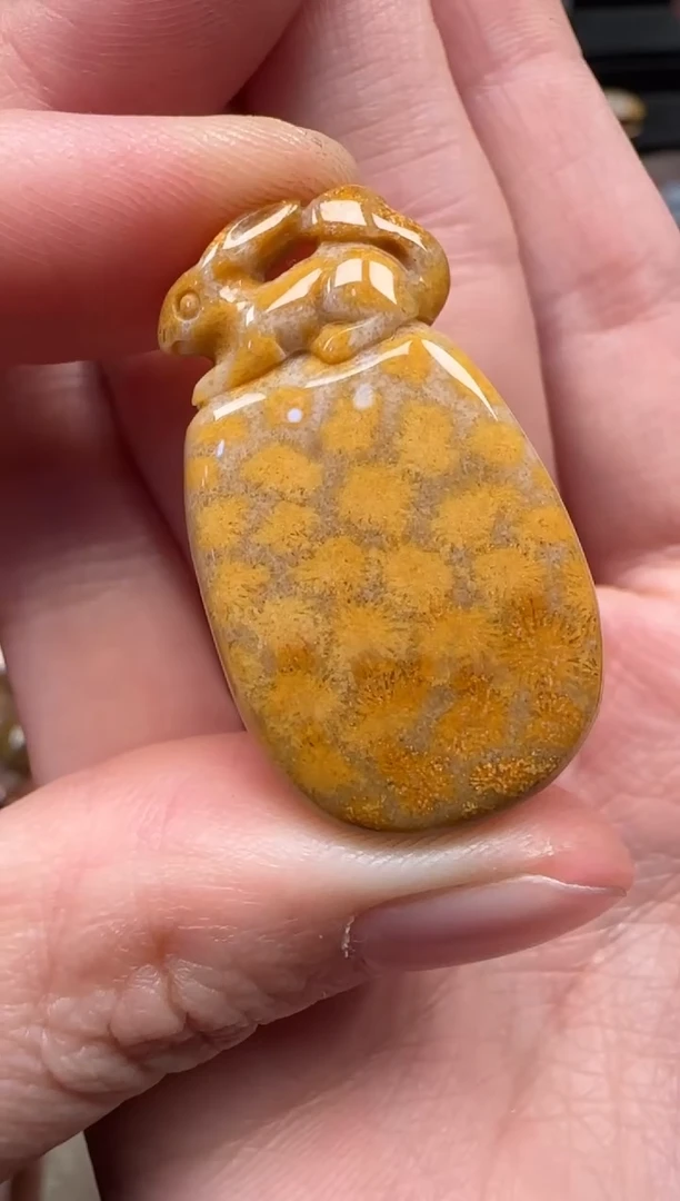 颈饰未镶嵌硅化珊瑚（珊瑚玉）232