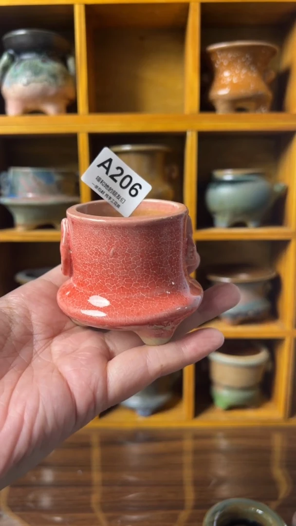 206 内口4.5【多肉花盆多肉盆】