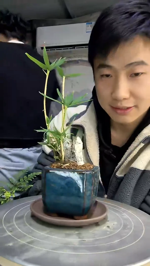 禅**舍中青园艺一物一拍花482