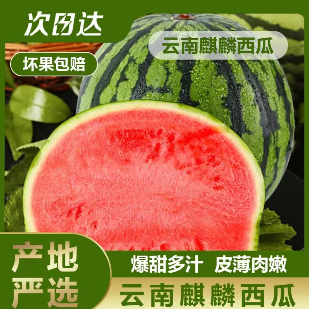 【顺丰次日达】云南头茬绿皮绿秧麒麟奶油手掰瓜/吊瓜整个发云南省
