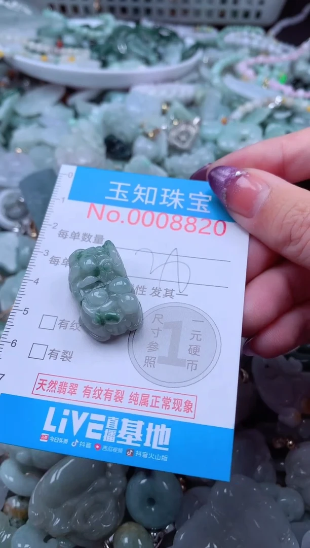 翡翠未镶嵌颈饰8820
